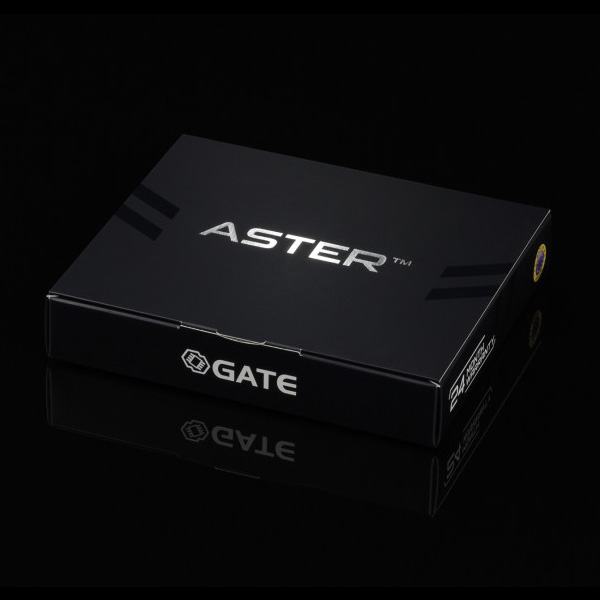 게이트 아스터 GATE ASTER 3형식 베이직 모듈 V3